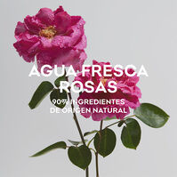 Agua Fresca de Rosas  120ml-167955 2